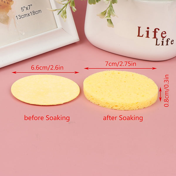 Facial Cleaning Sponge